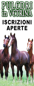 PULEDRI in VETRINA - iscrizioni aperte
