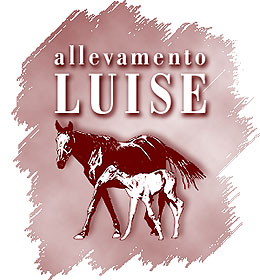 Allevamento LUISE